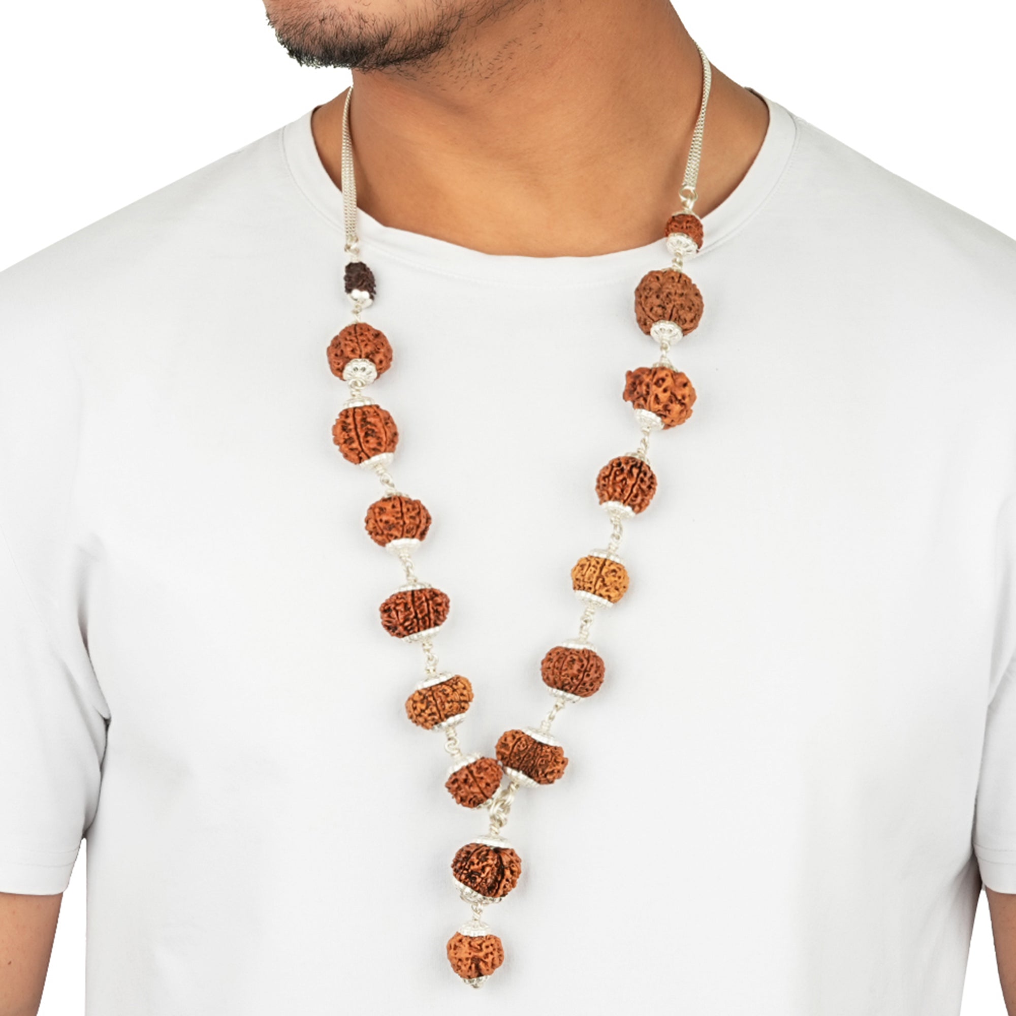 1-14 Mukhi Rudraksha Mala (Siddha Mala)