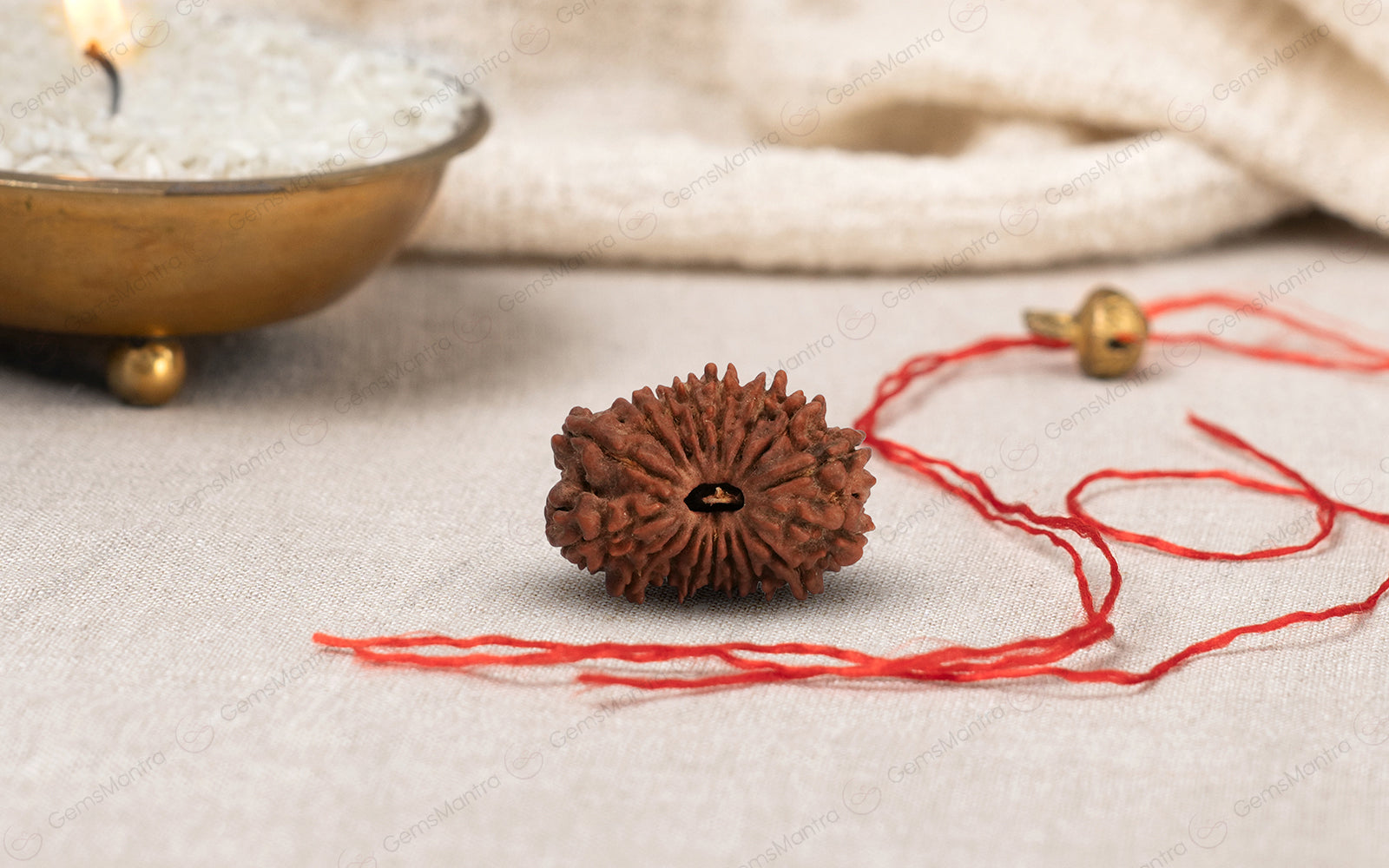 Natural 17 Mukhi Rudraksha (Nepali)
