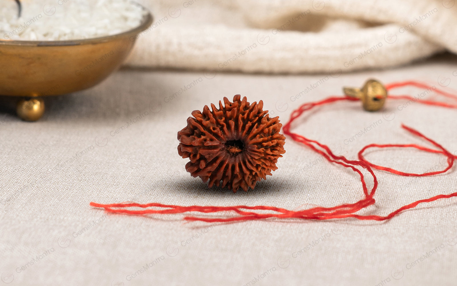 Natural 18 Mukhi Rudraksha (Nepali)