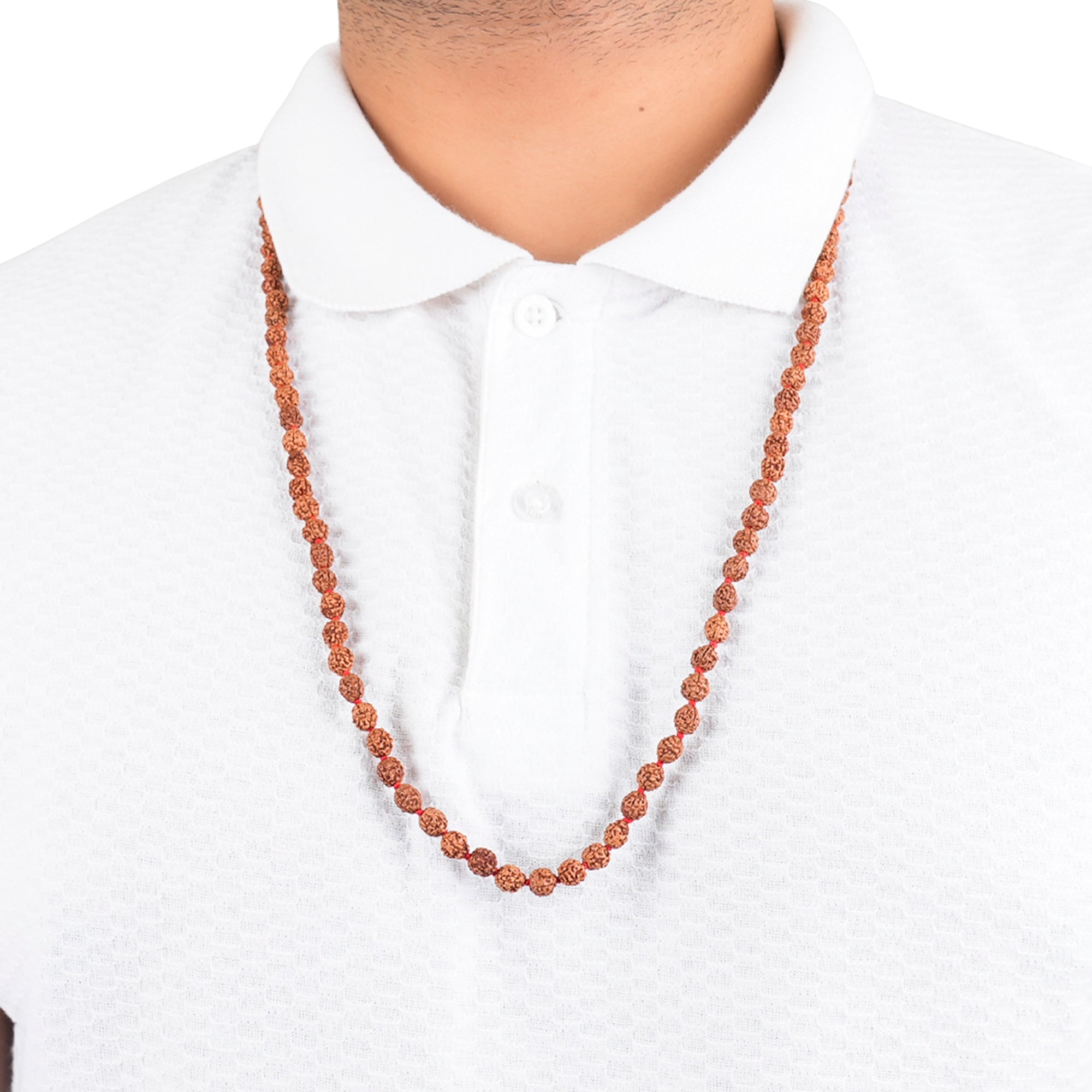 2 Mukhi Rudraksha Mala, for Japa