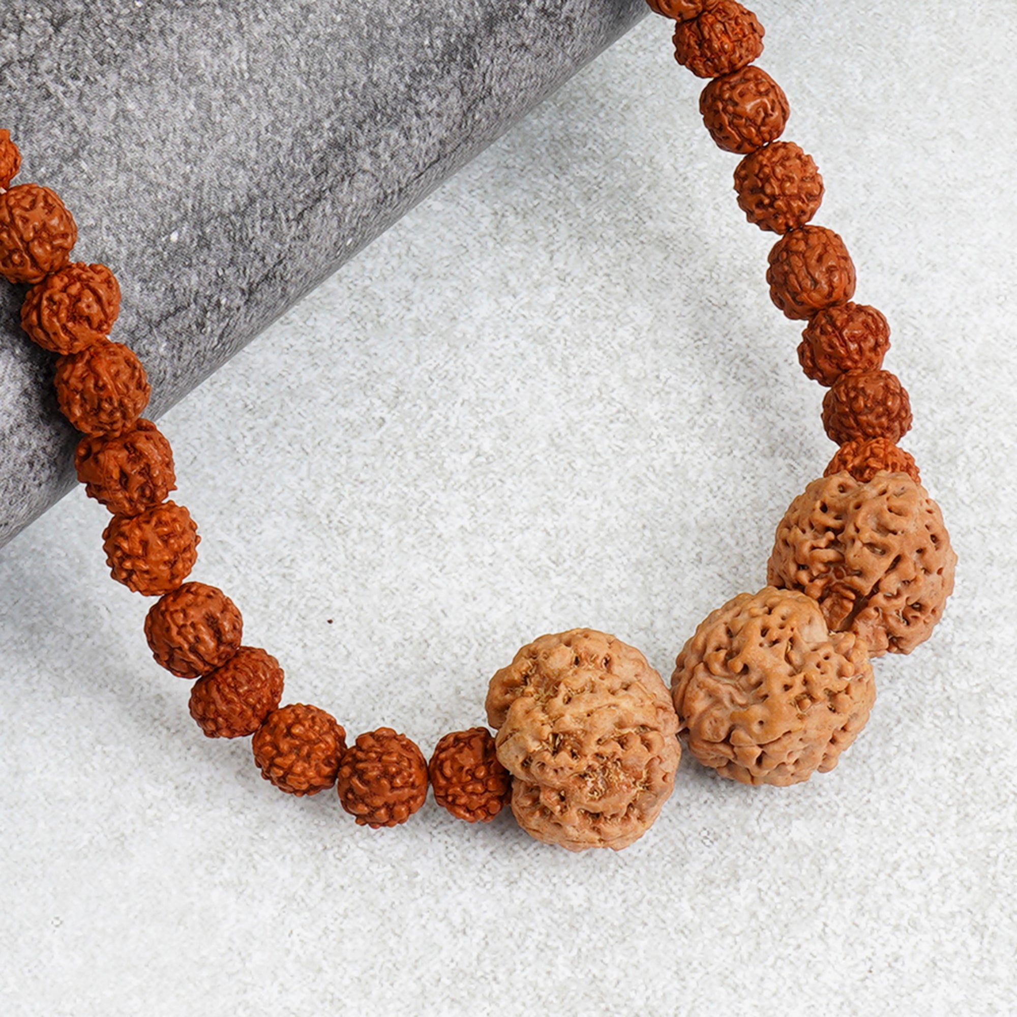 Vidya Vriddhi Mala - 4 Mukhi and 5 Mukhi Rudraksha