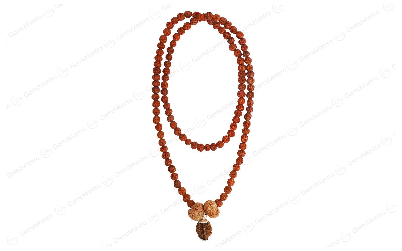 Swasth Vriddhi Mala - 7 Mukhi and 2 Mukhi Rudraksha