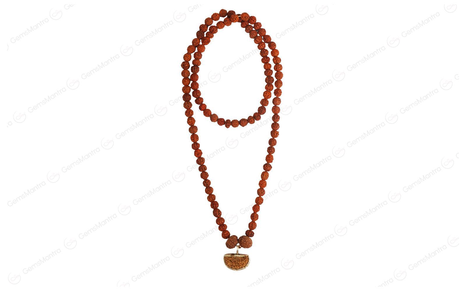 Dhanlaxmi Vriddhi Mala - 1 Mukhi and 9 Mukhi Rudraksha