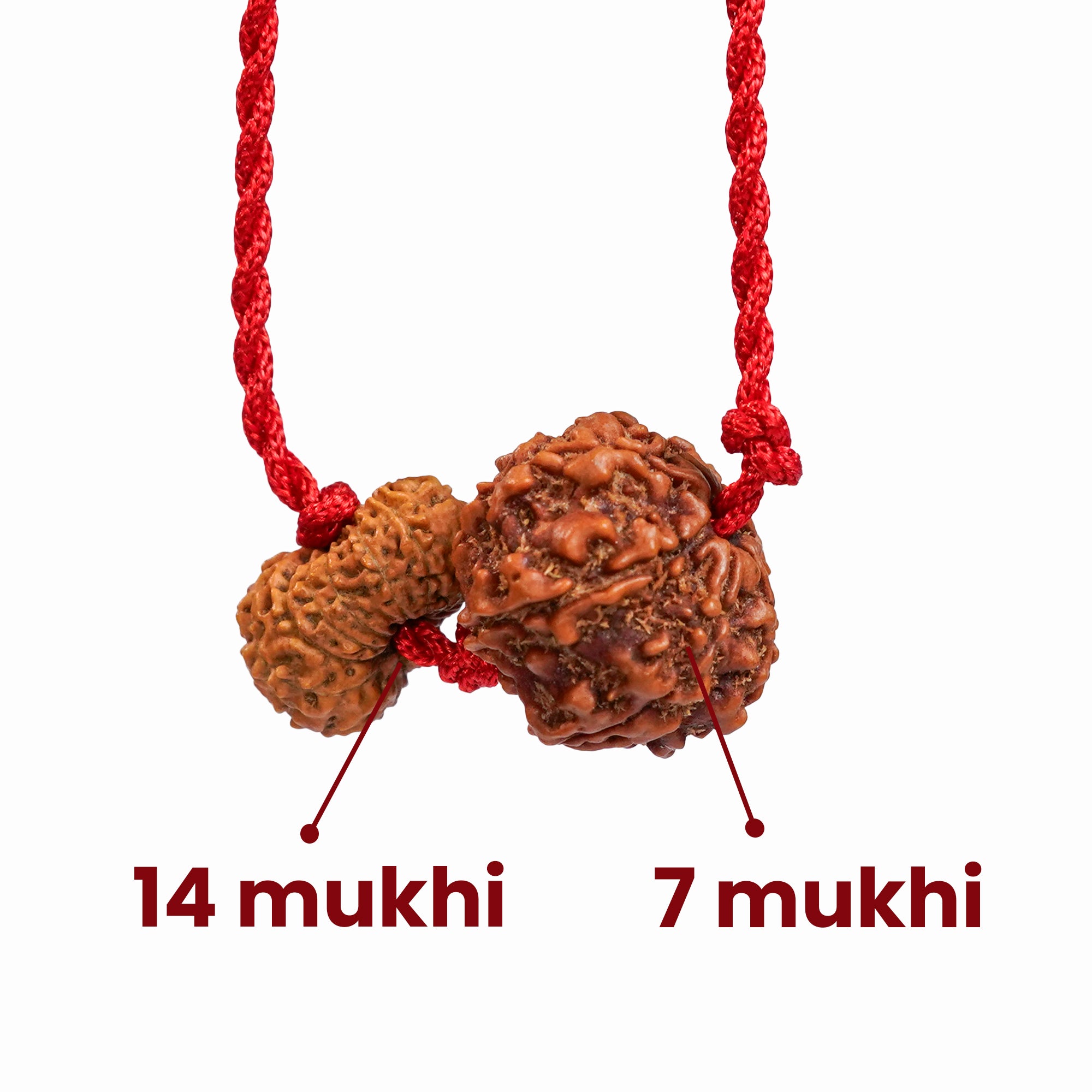Capricorn Zodiac Kavach