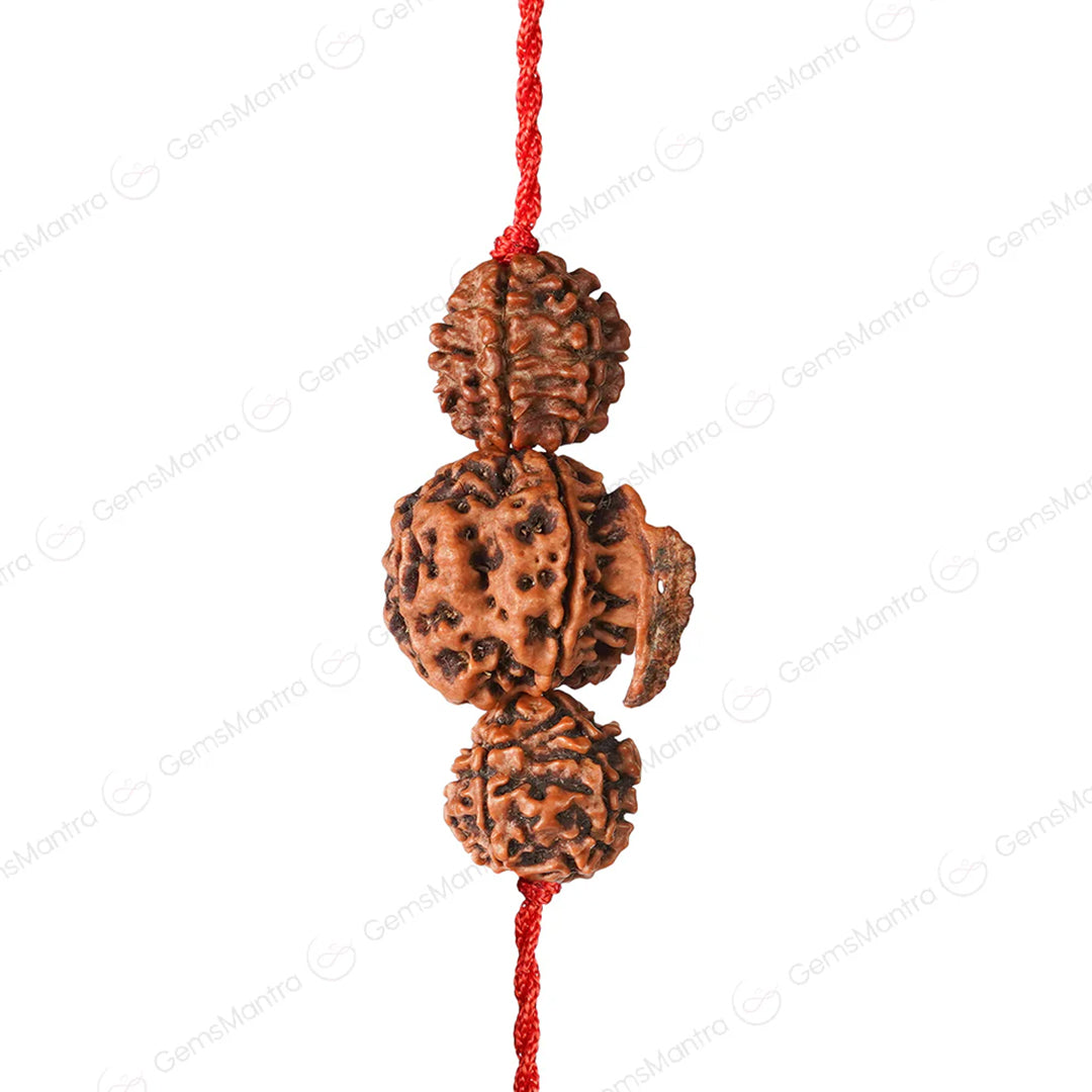 Dhan Laxmi Ganesh Kawach with Free Certification