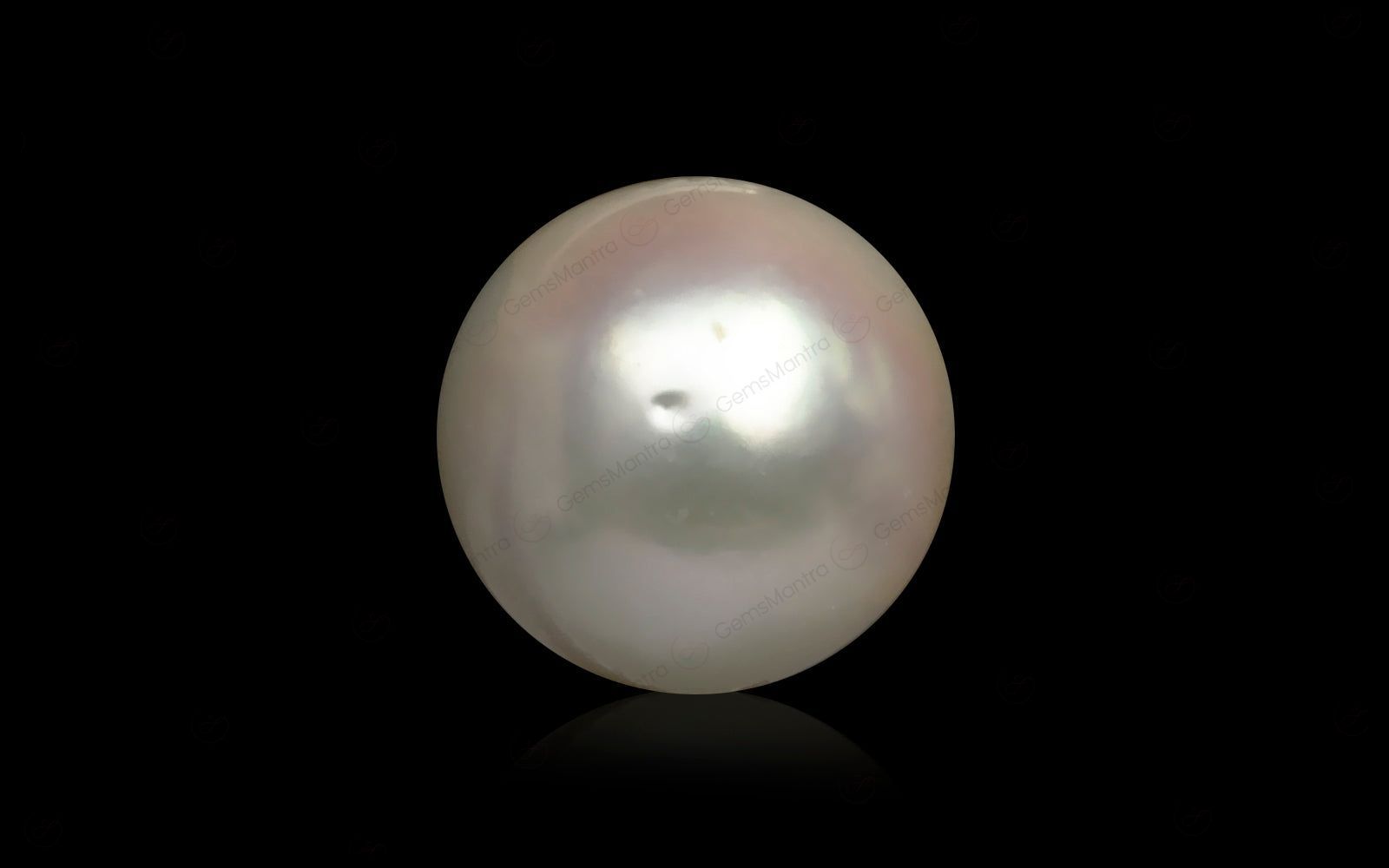 South Sea Pearl - 9.04 Carats