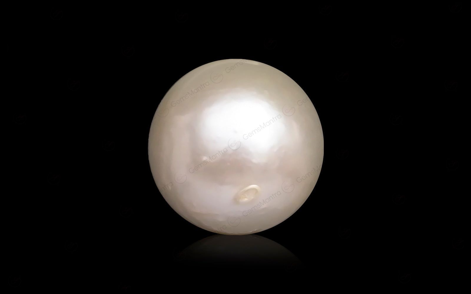 South Sea Pearl - 9.12 Carats