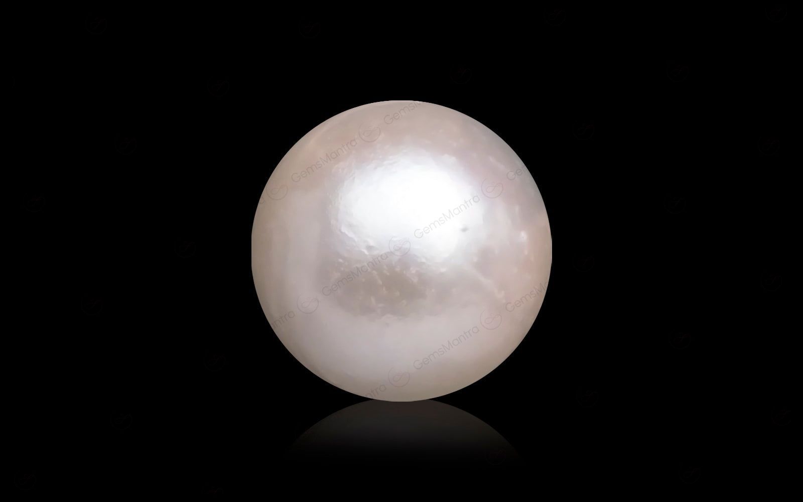 South Sea Pearl - 9.23 Carats