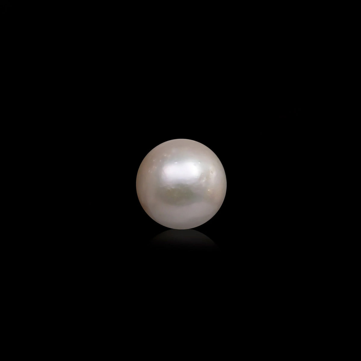 South Sea Pearl - 9.33 Carats