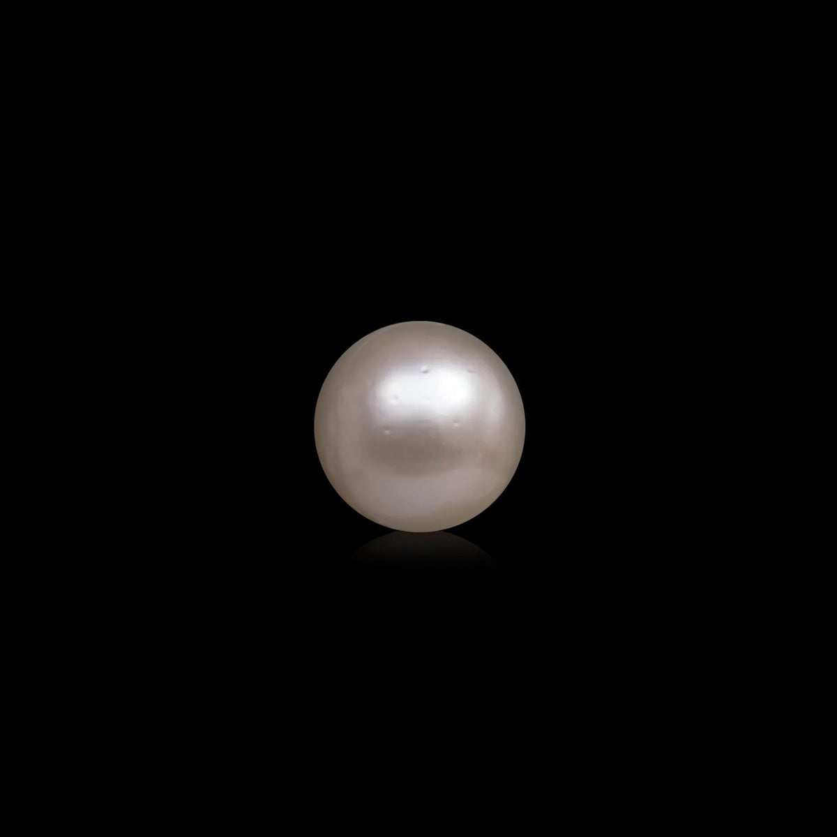 South Sea Pearl - 10.58 Carats