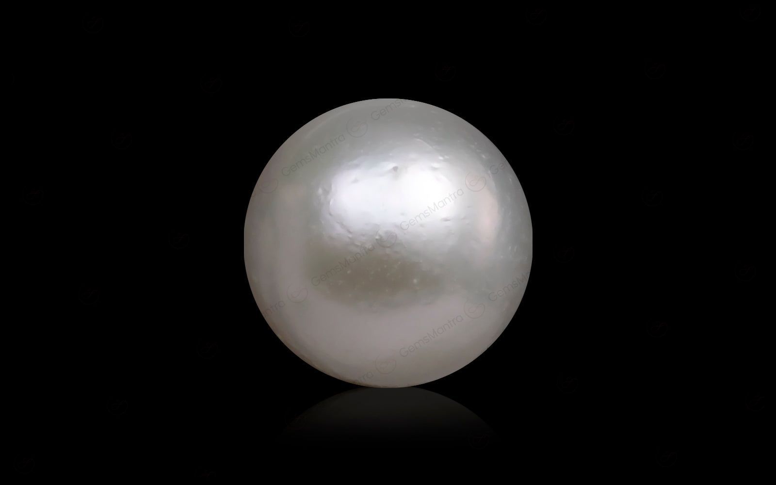 South Sea Pearl - 10.52 Carats
