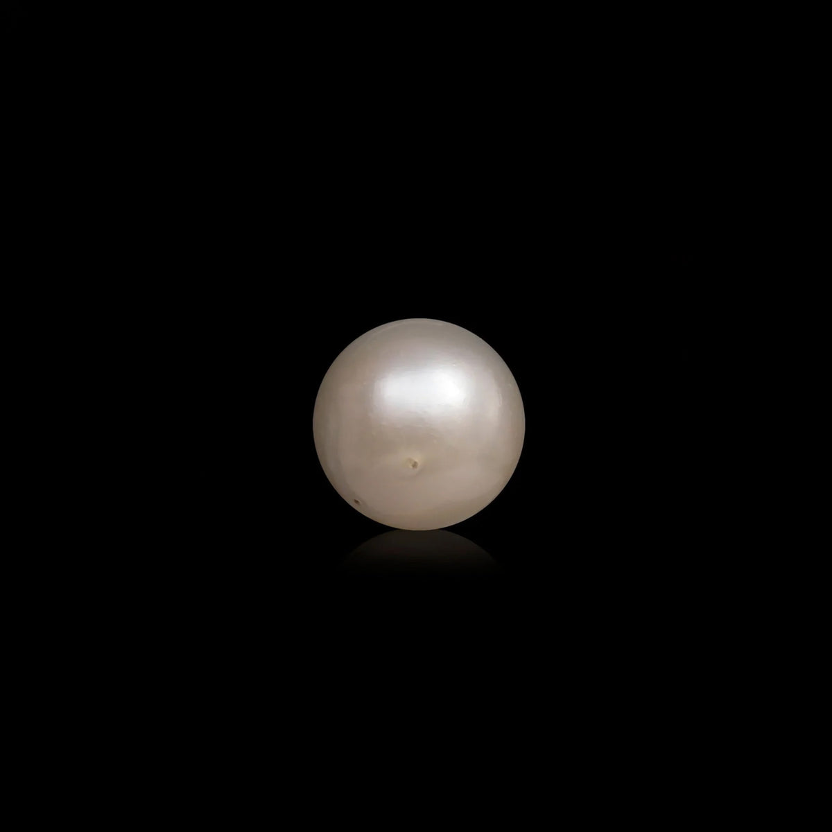 South Sea Pearl - 10.04 Carats