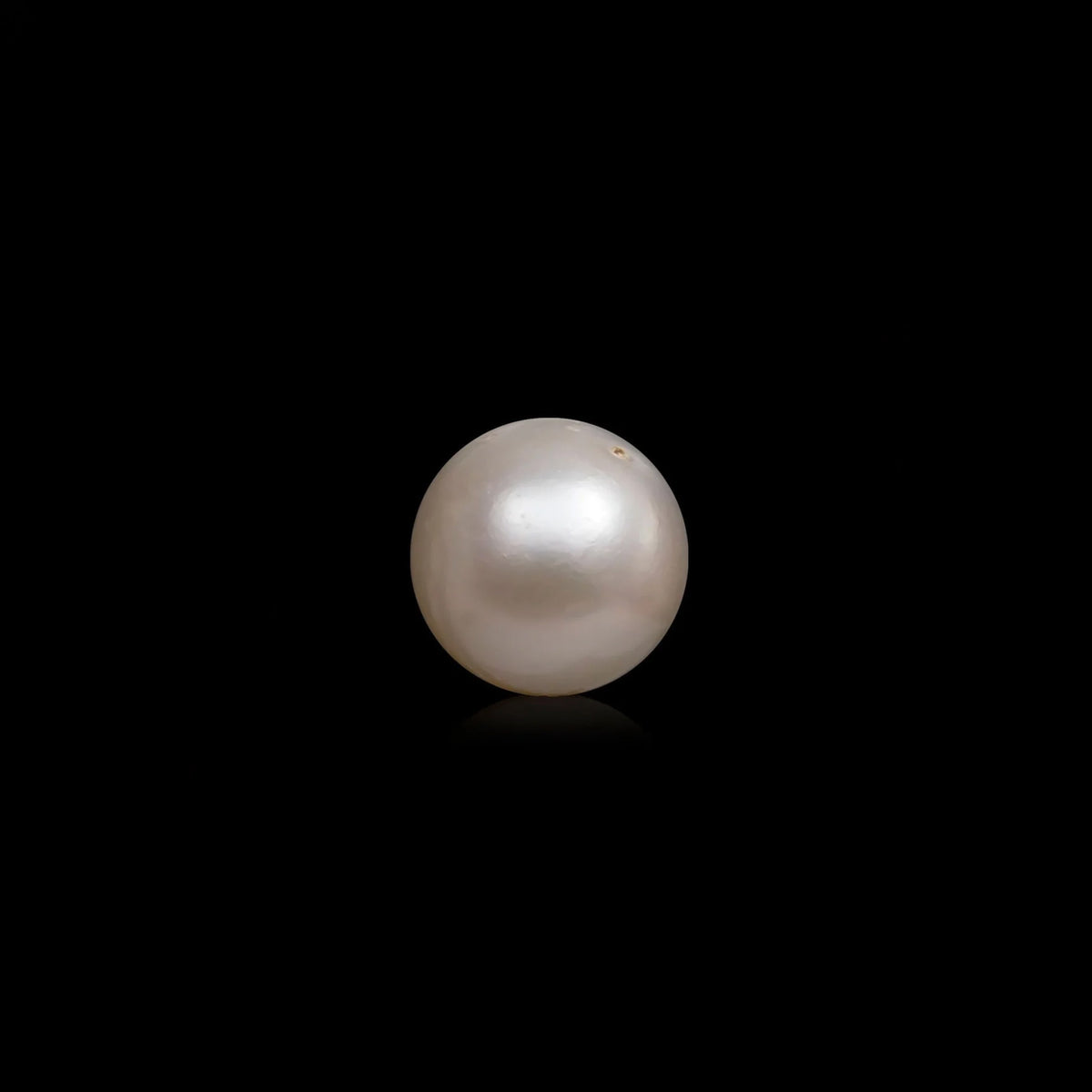 South Sea Pearl - 10.04 Carats