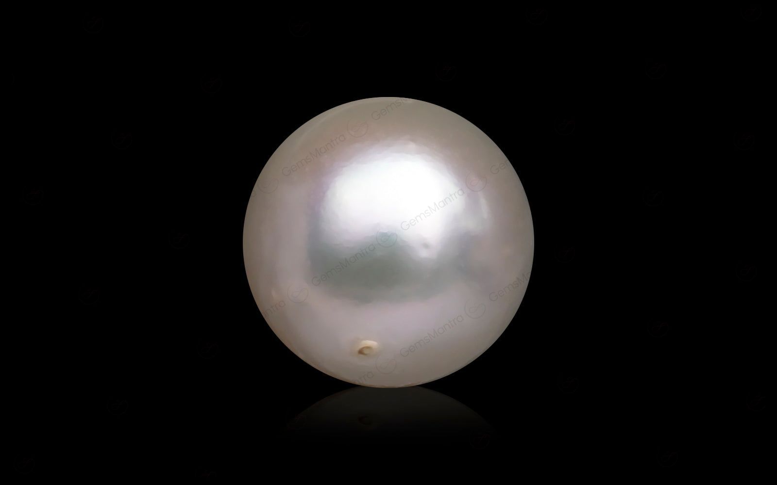 South Sea Pearl - 10.41 Carats