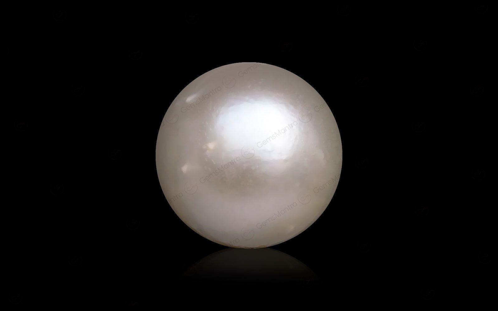 South Sea Pearl - 10.41 Carats