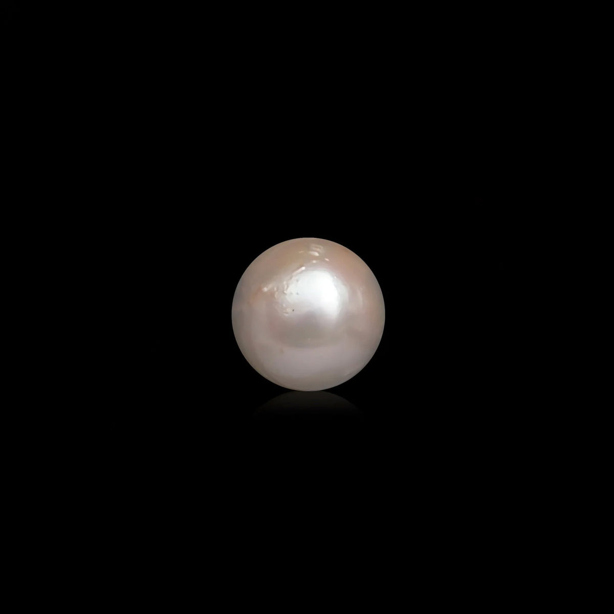 South Sea Pearl - 10.1 Carats