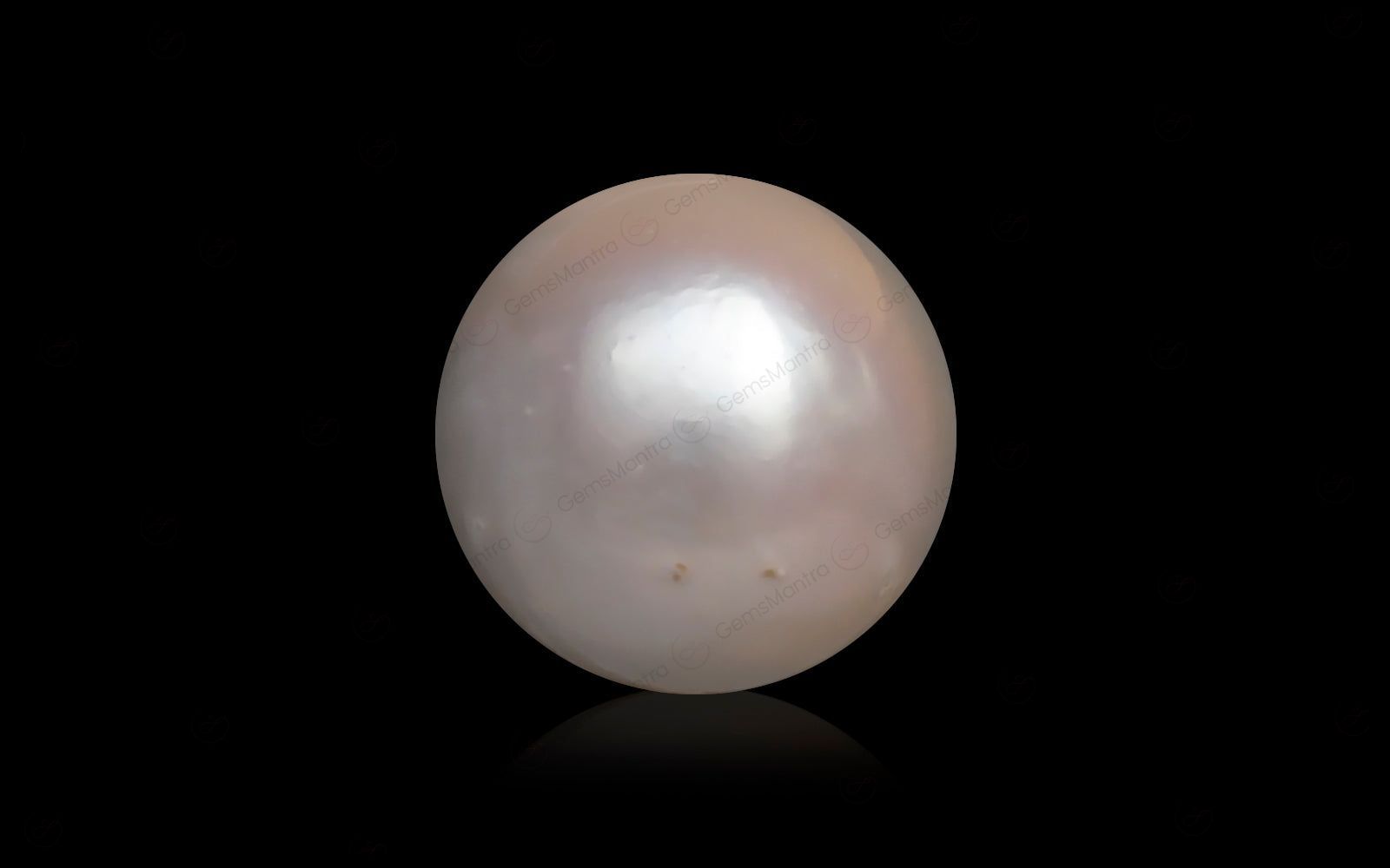 South Sea Pearl - 10.1 Carats