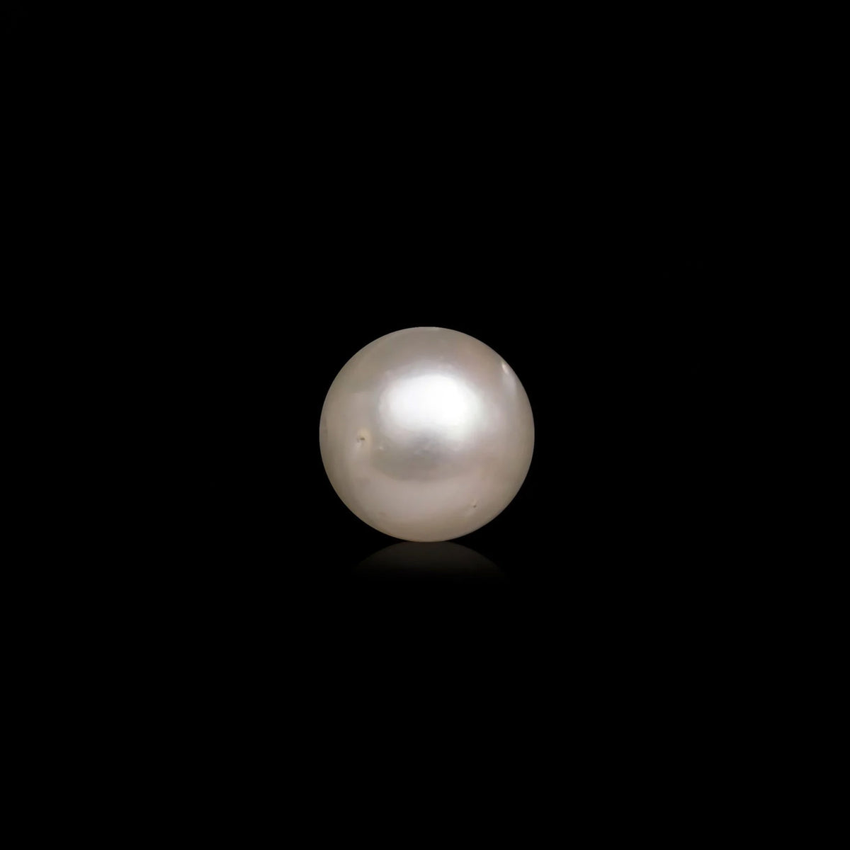 South Sea Pearl - 10.11 Carats