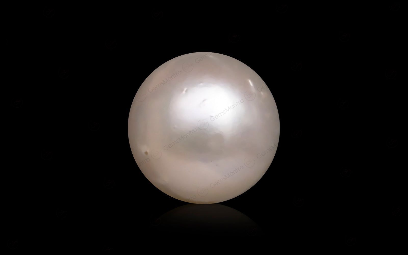 South Sea Pearl - 10.04 Carats