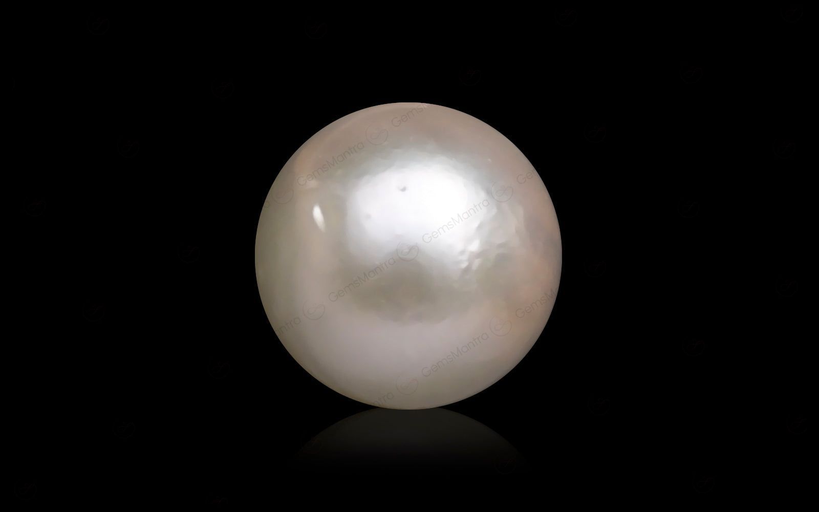 South Sea Pearl - 10.07 Carats