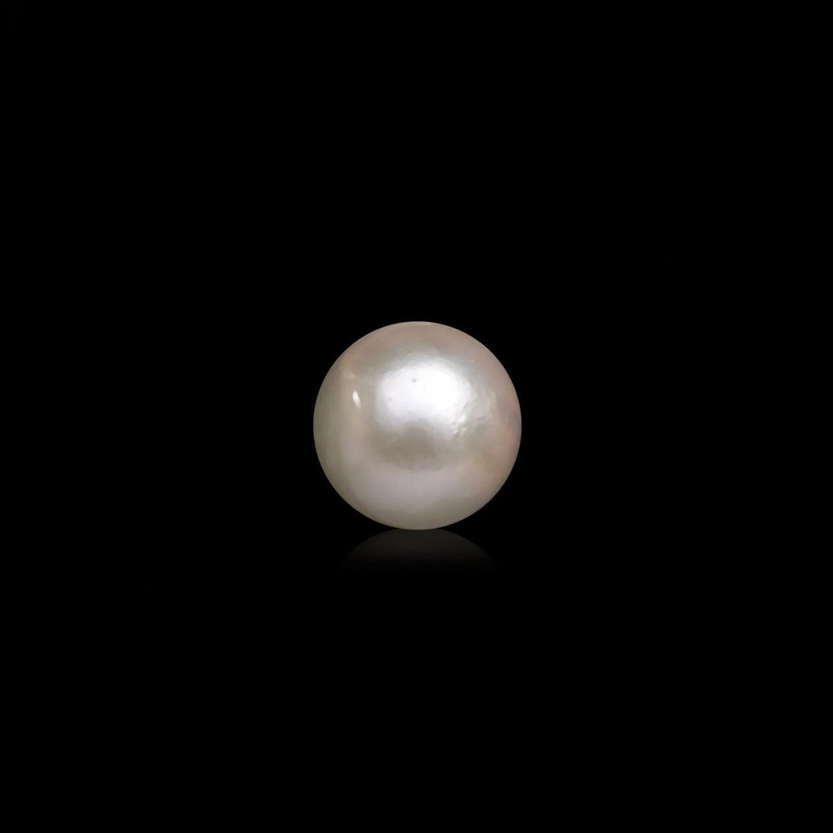South Sea Pearl - 10.07 Carats