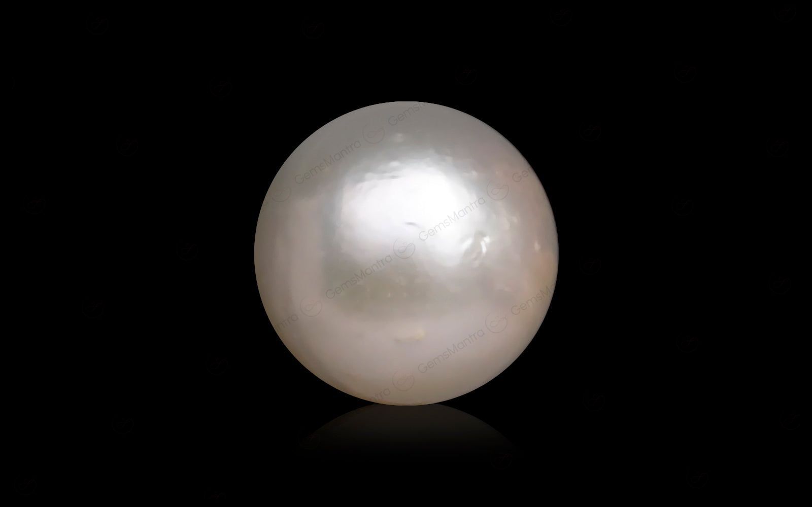 South Sea Pearl - 10.07 Carats