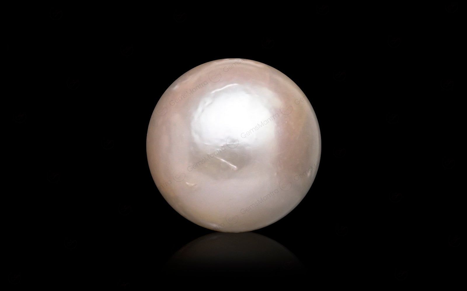 South Sea Pearl - 10.44 Carats