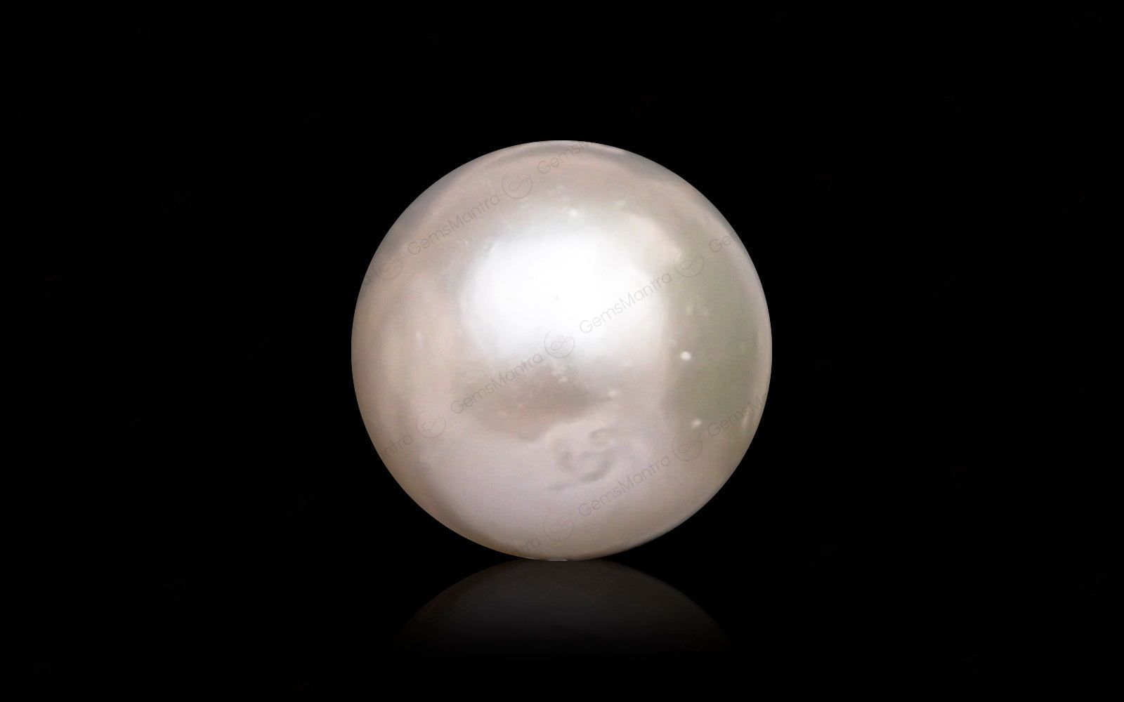 South Sea Pearl - 10.83 Carats