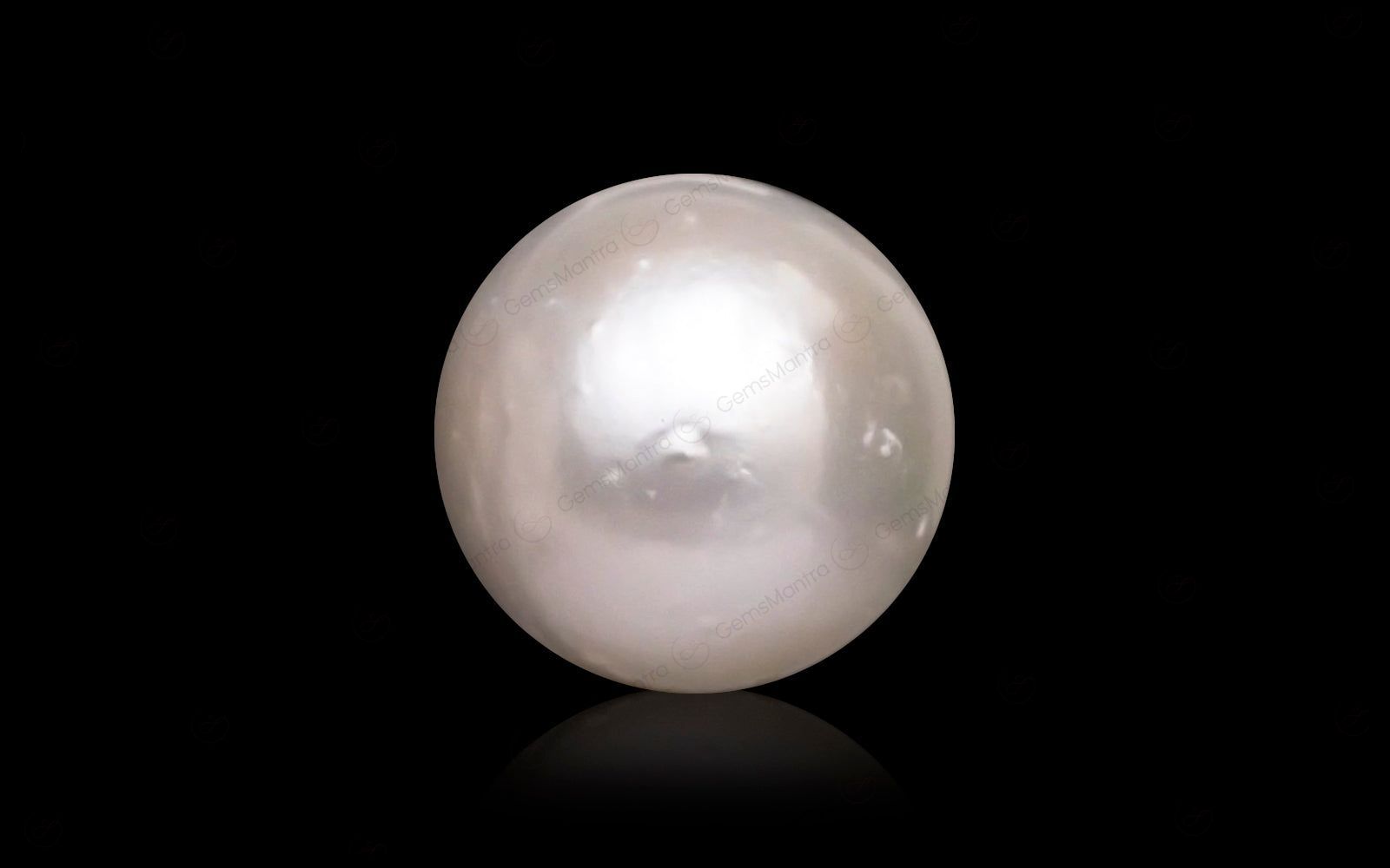 South Sea Pearl - 10.83 Carats