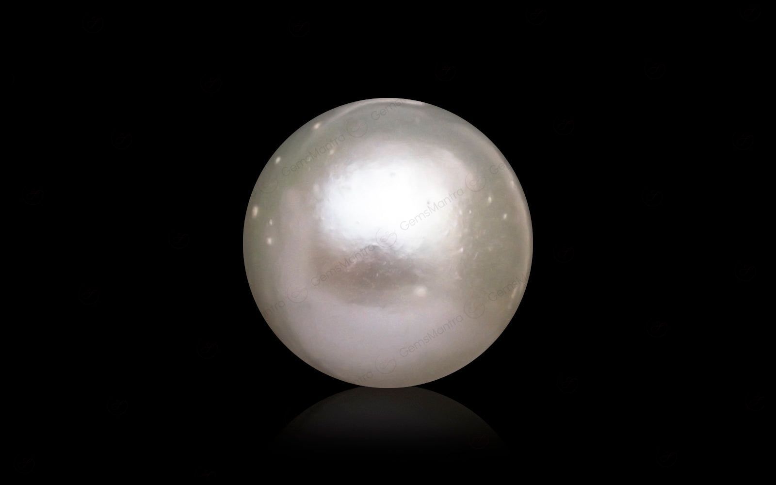 South Sea Pearl - 10.81 Carats