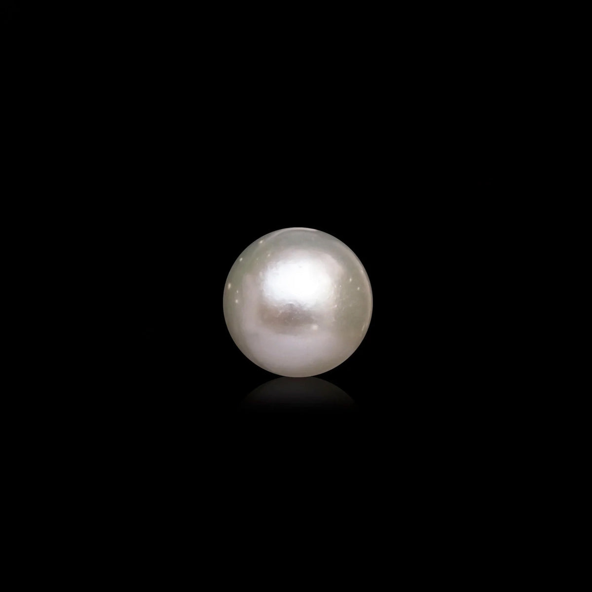 South Sea Pearl - 10.81 Carats