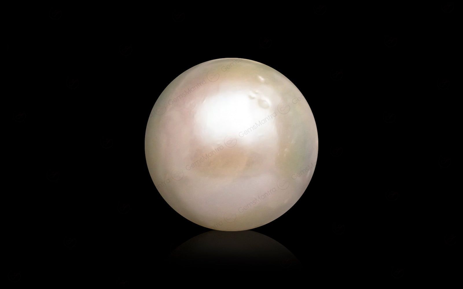 South Sea Pearl - 10.58 Carats