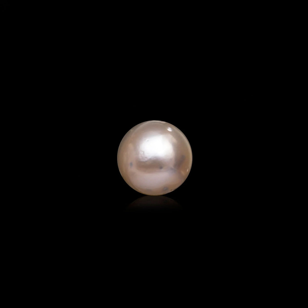 South Sea Pearl - 10.38 Carats