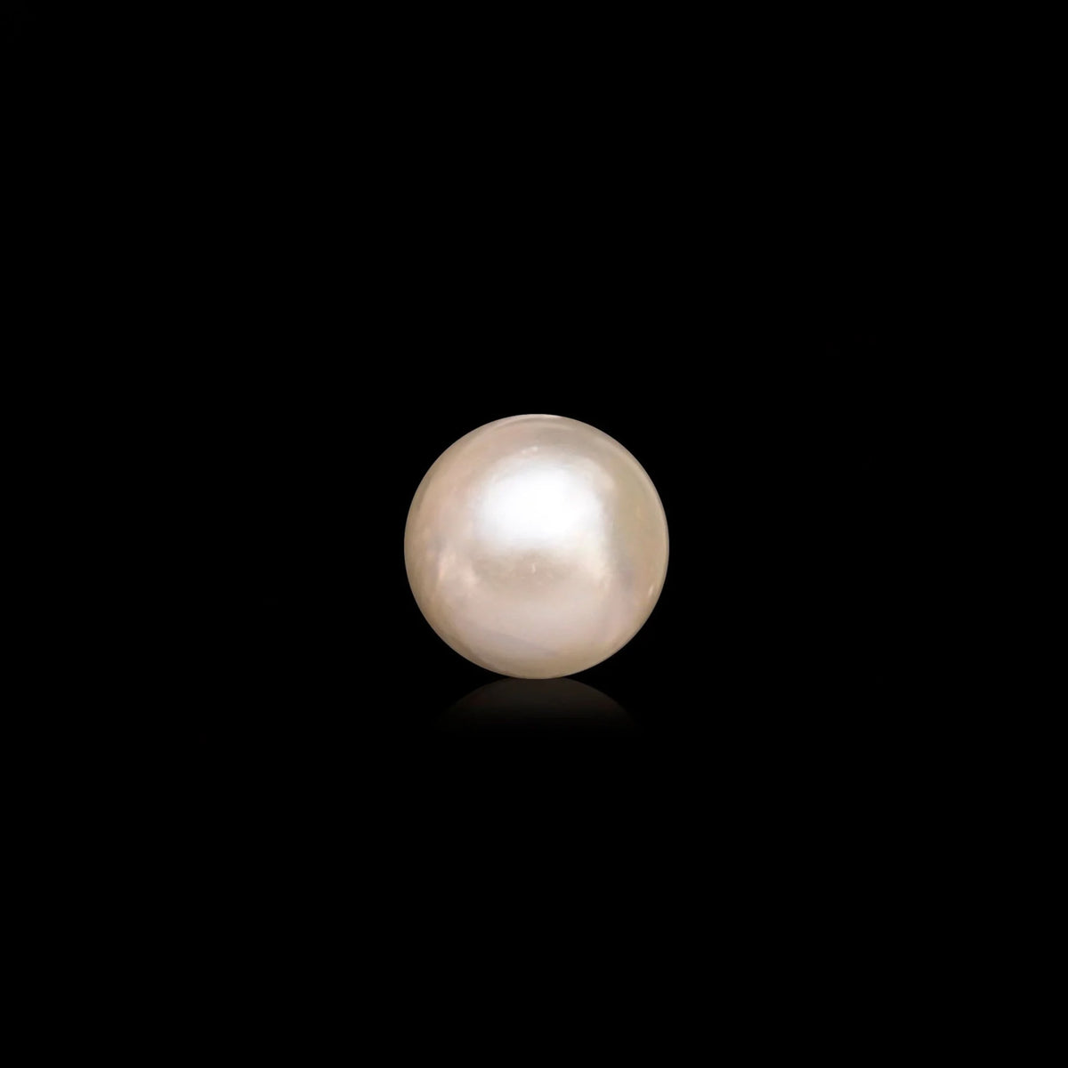 South Sea Pearl - 10.26 Carats