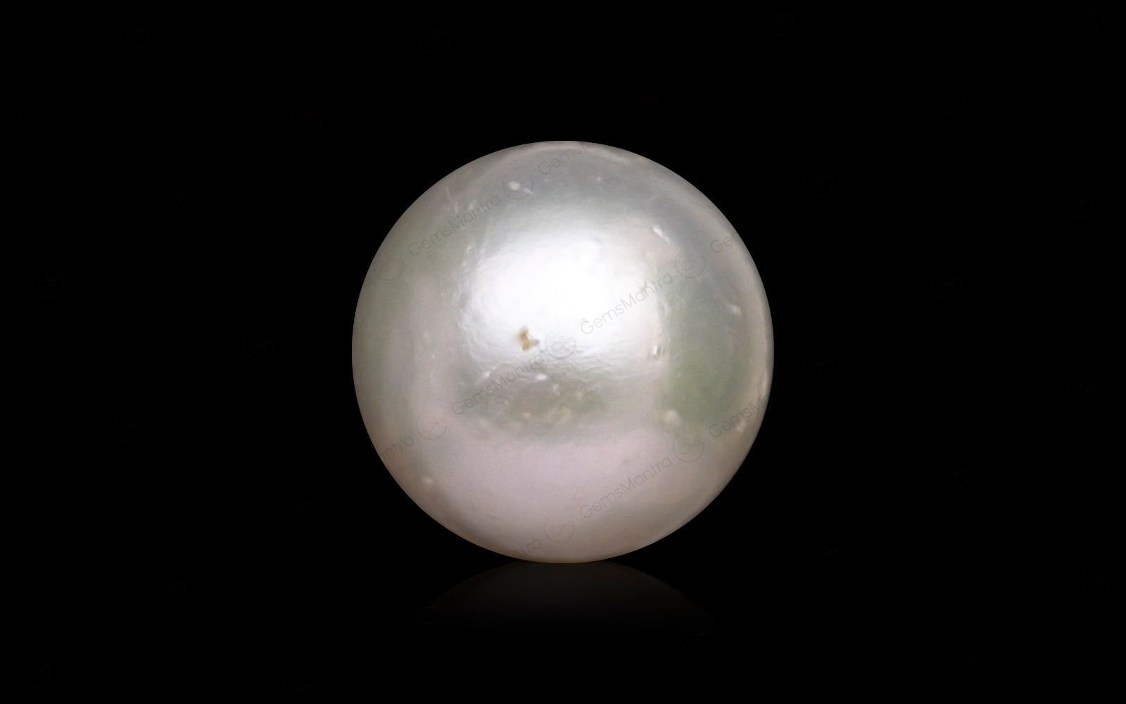 South Sea Pearl - 10.19 Carats