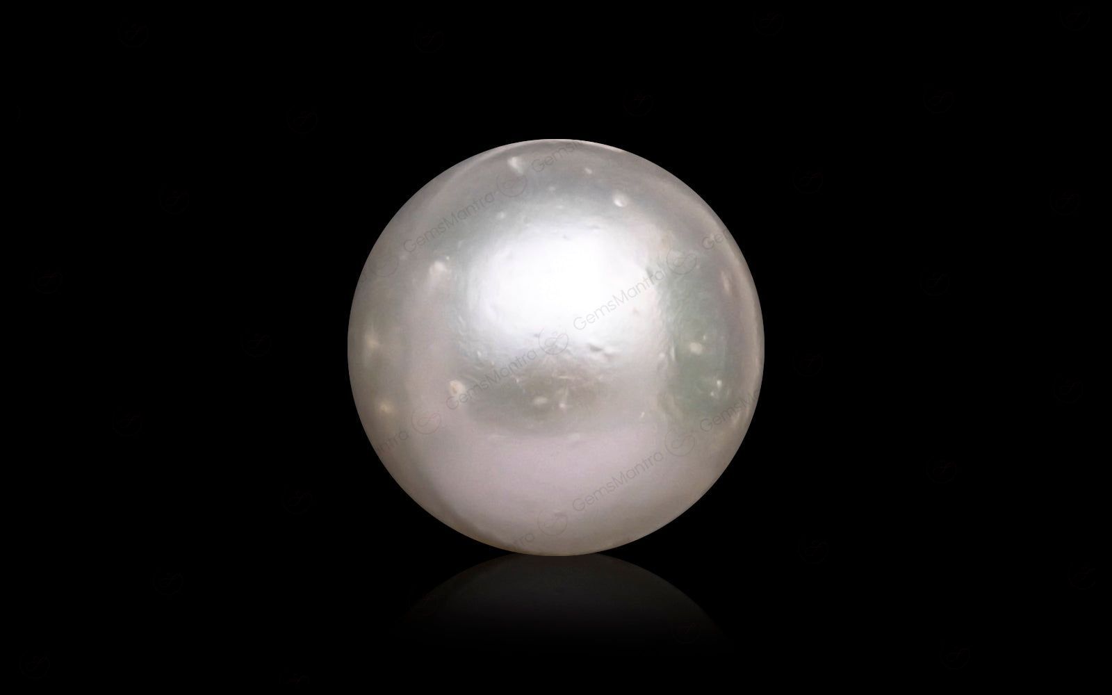South Sea Pearl - 10.19 Carats