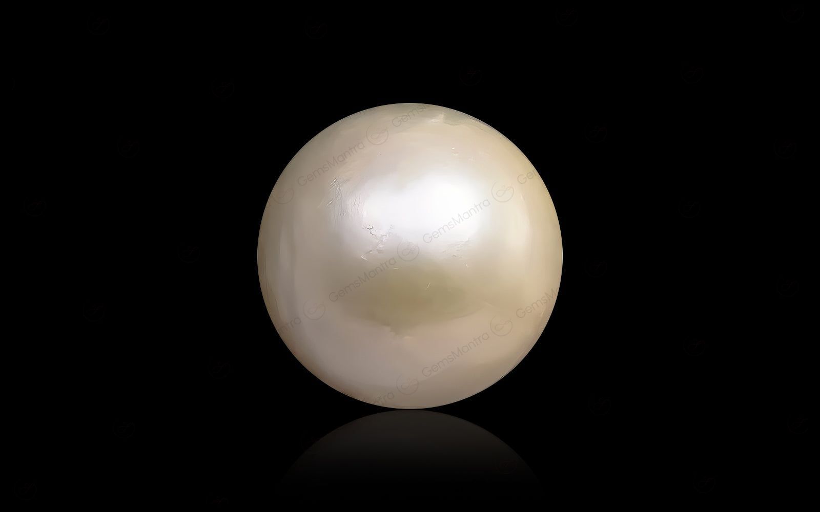 South Sea Pearl - 11.77 Carats