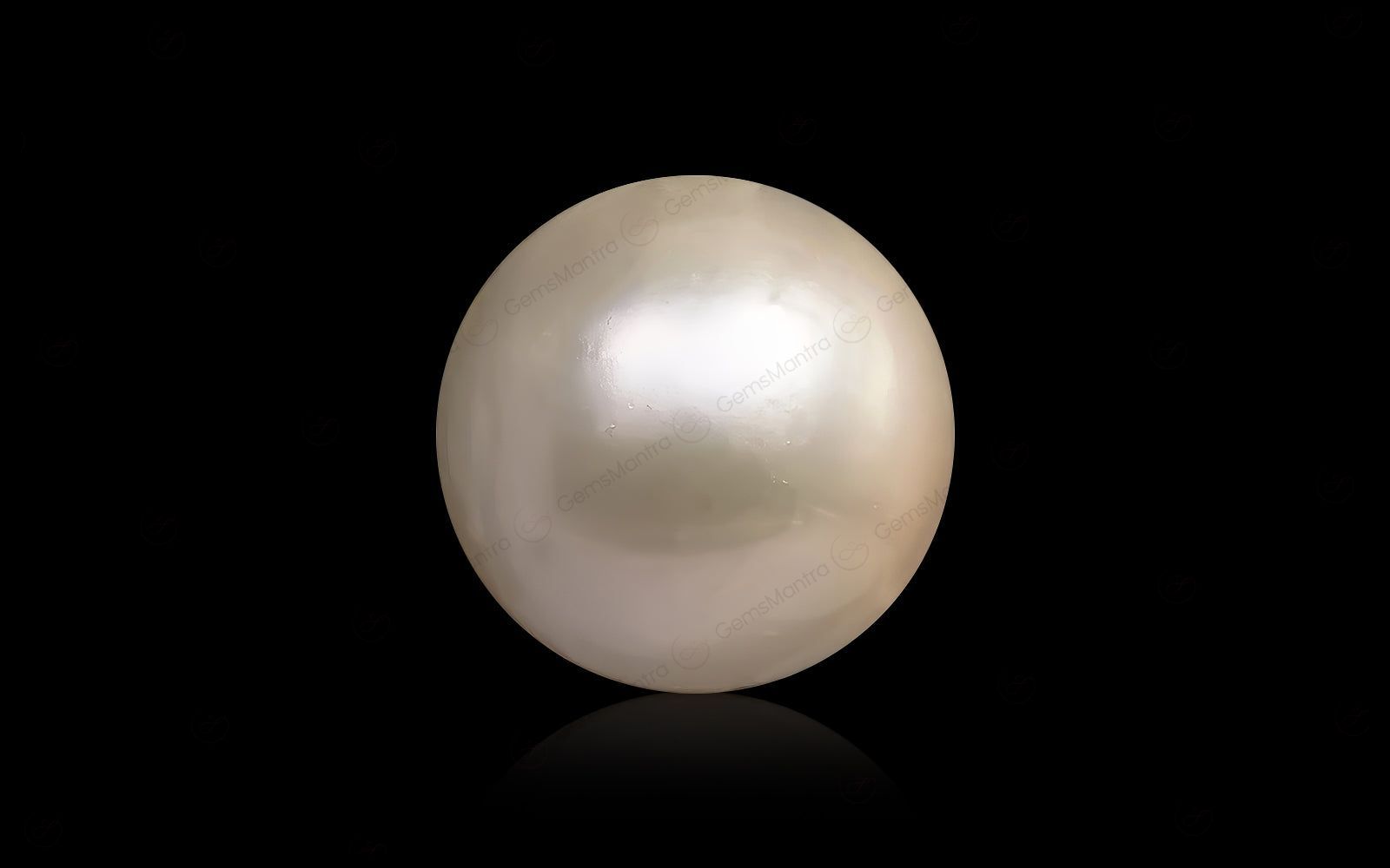 South Sea Pearl - 11.77 Carats