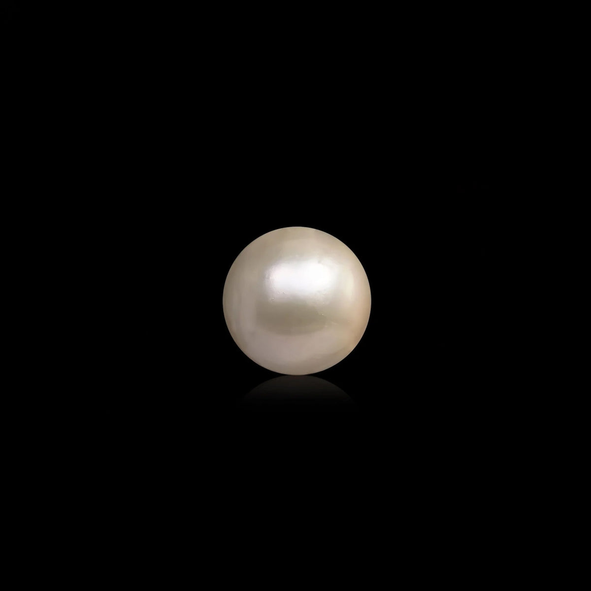 South Sea Pearl - 11.77 Carats