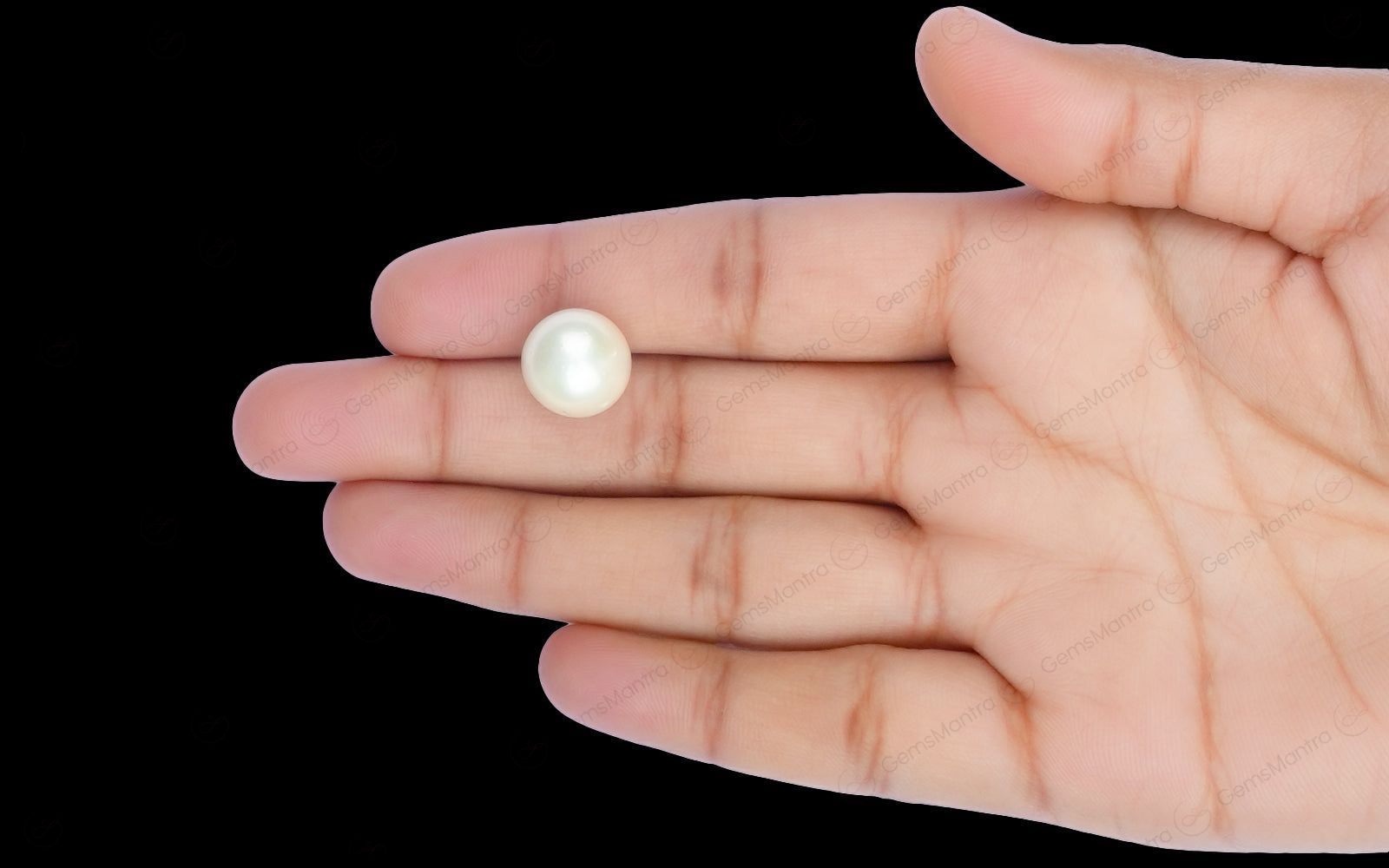 South Sea Pearl - 11.77 Carats