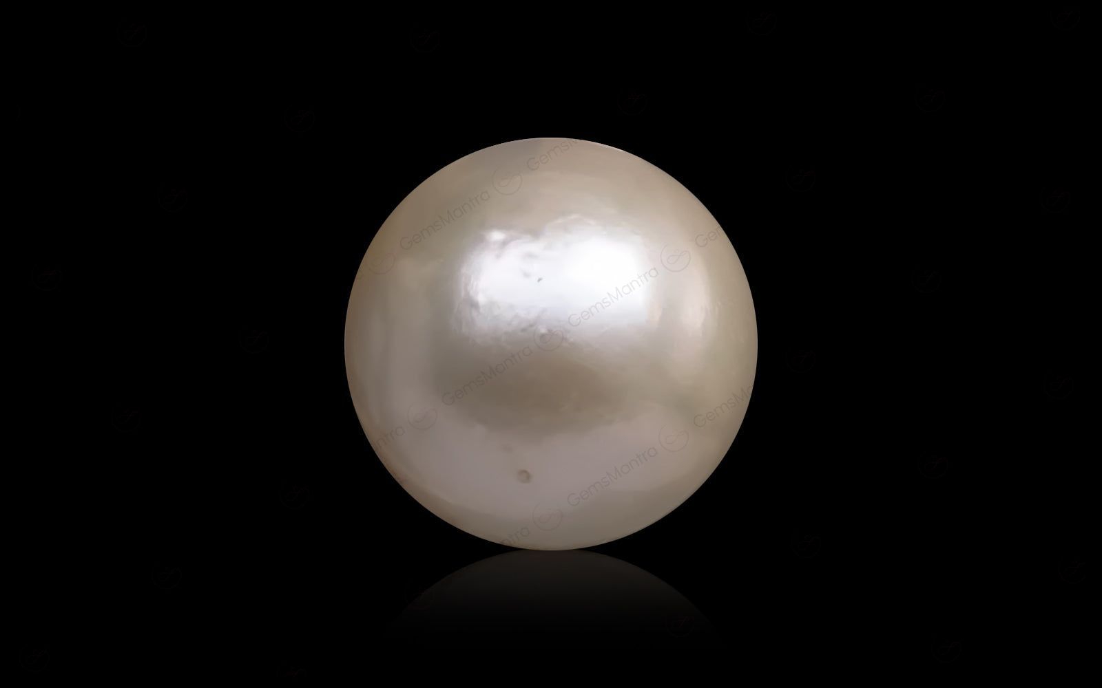South Sea Pearl - 11.43 Carats