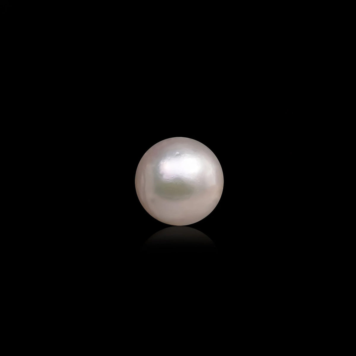 South Sea Pearl - 12.04 Carats