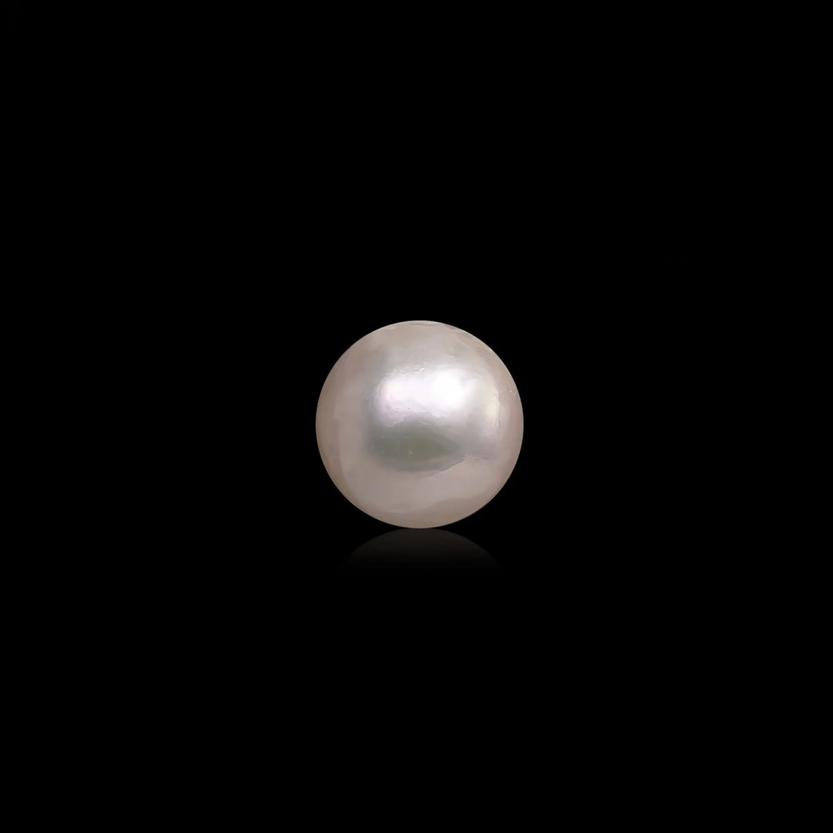 South Sea Pearl - 12.04 Carats