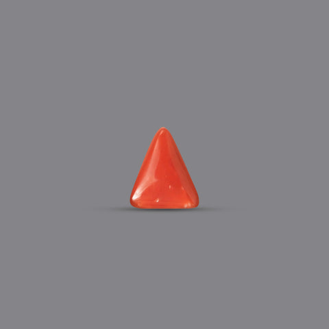 Red Coral - 2.9 Carats