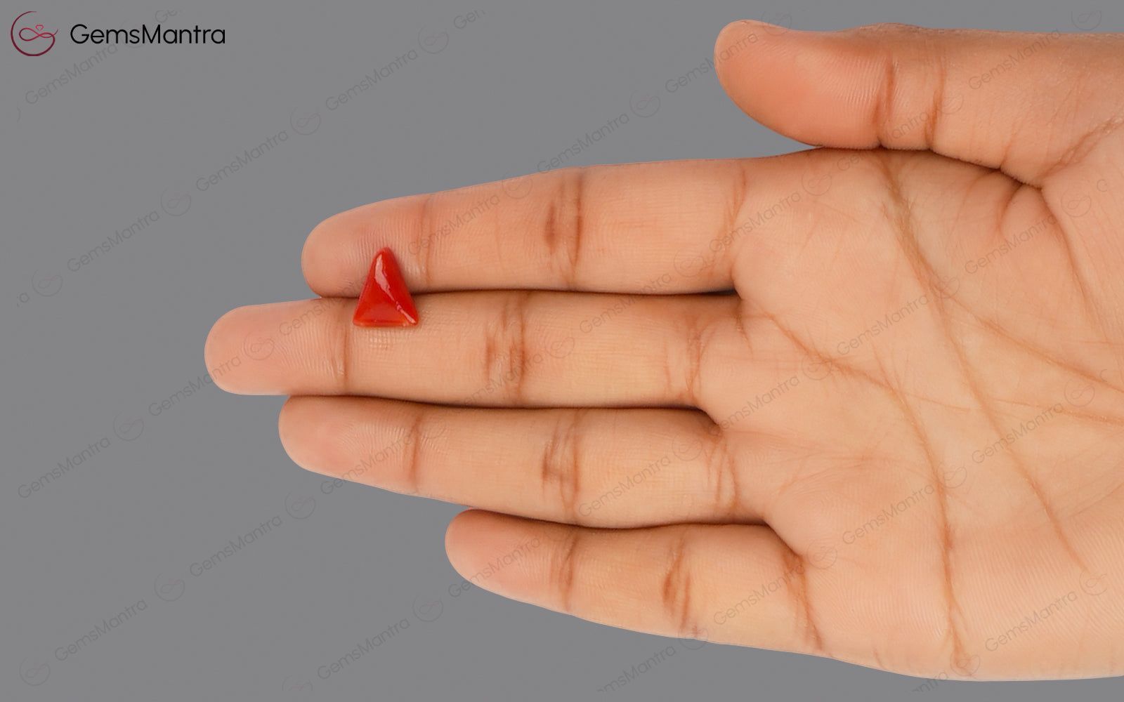 Red Coral - 2.9 Carats