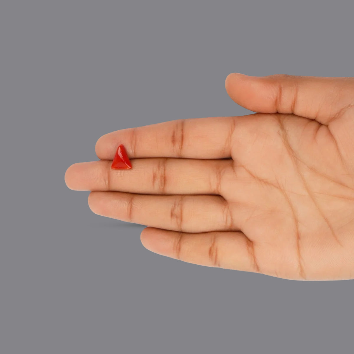 Red Coral - 2.9 Carats
