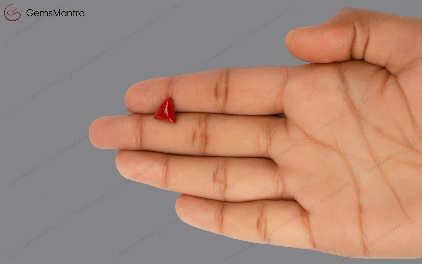 Red Coral - 2.93 Carats