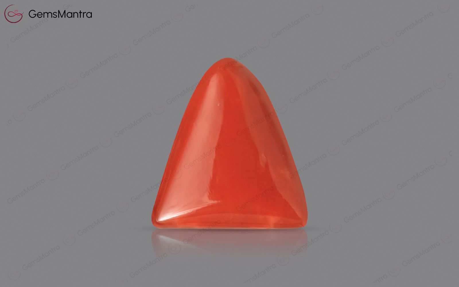 Red Coral - 2.9 Carats