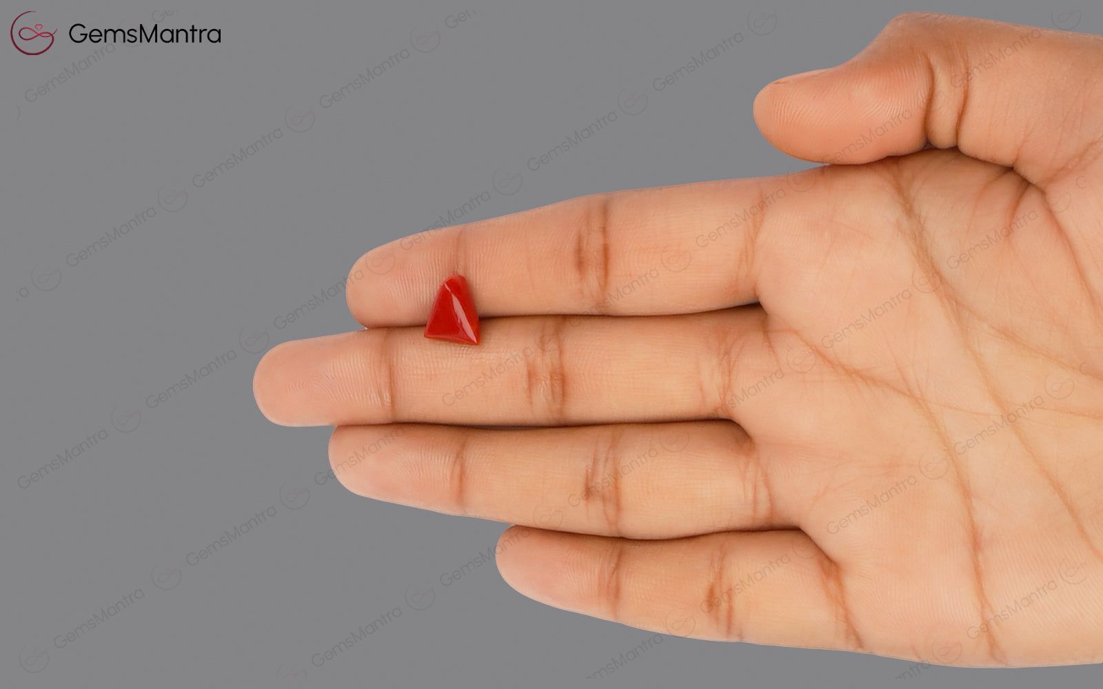 Red Coral - 2.9 Carats