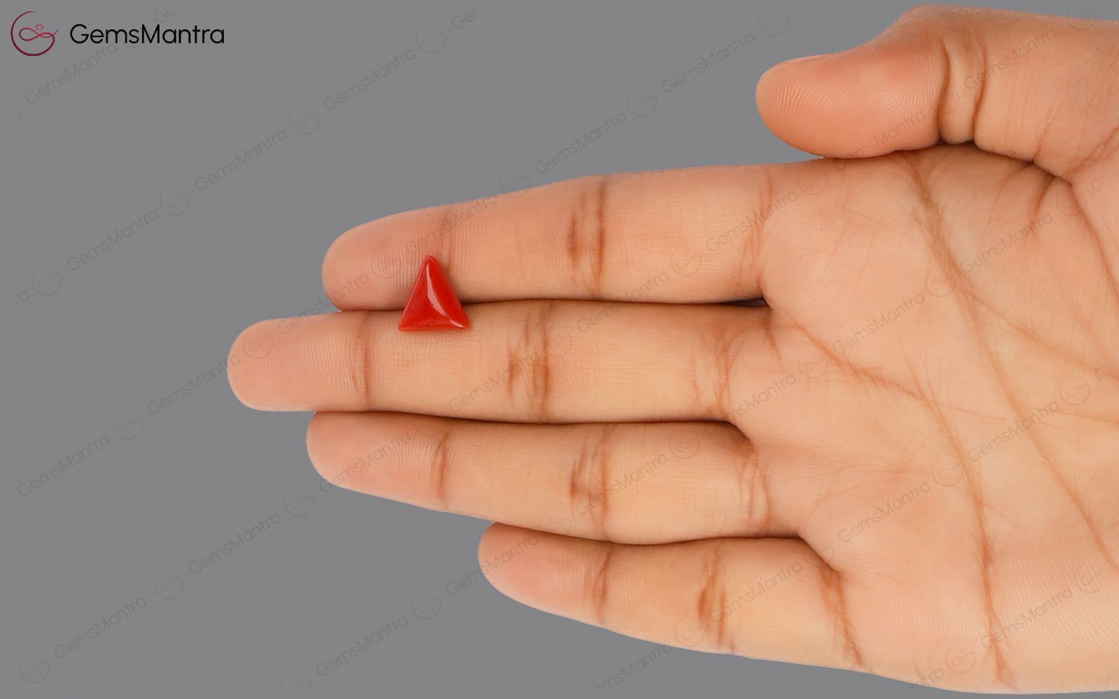 Red Coral - 2.9 Carats